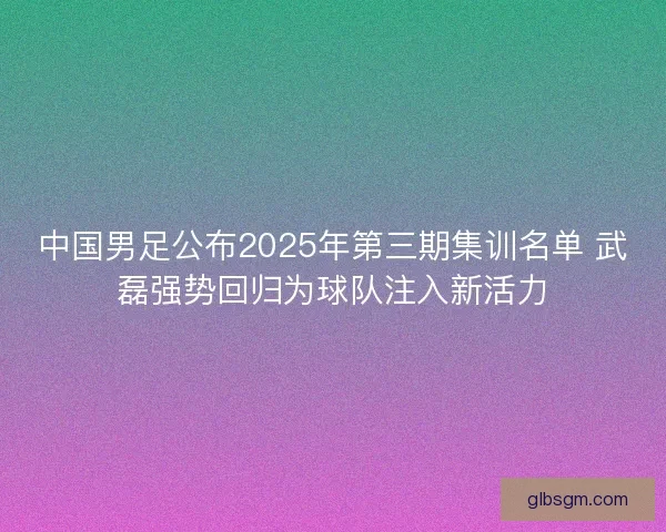 中国男足公布2025年第三期集训名单 武磊强势回归为球队注入新活力
